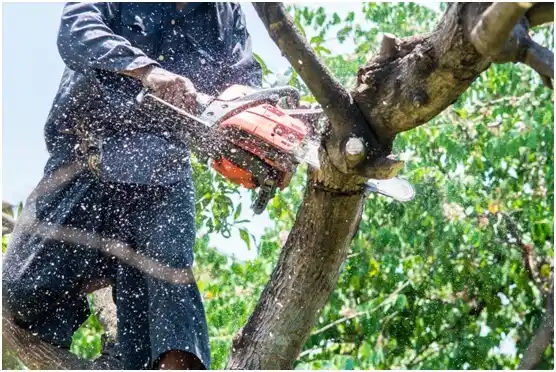 tree services Madill